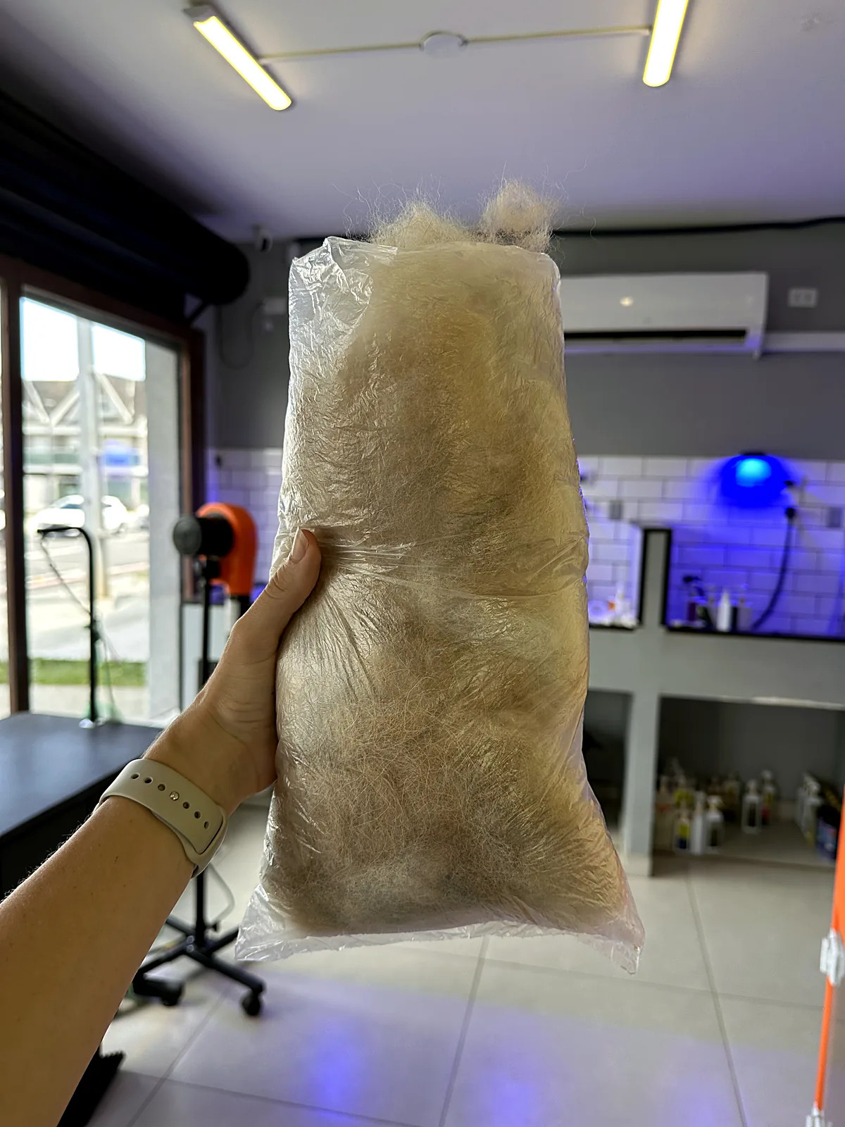 Resultado da remoção de subpelo em cão de pelagem dupla no Pico Animal